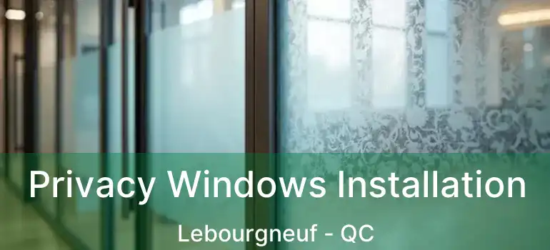  Privacy Windows Installation Lebourgneuf - QC