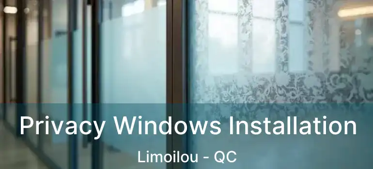  Privacy Windows Installation Limoilou - QC