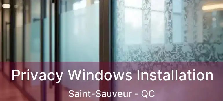  Privacy Windows Installation Saint-Sauveur - QC
