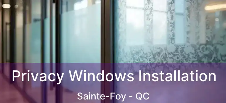  Privacy Windows Installation Sainte-Foy - QC