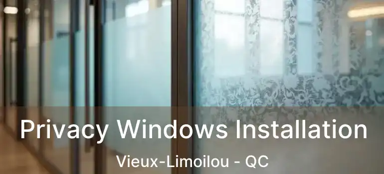  Privacy Windows Installation Vieux-Limoilou - QC