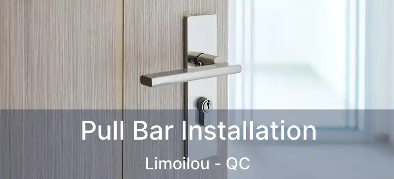  Pull Bar Installation Limoilou - QC