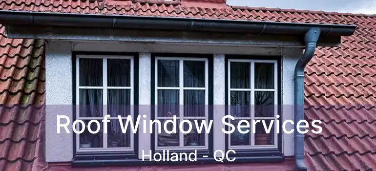  Roof Window Services Holland - QC