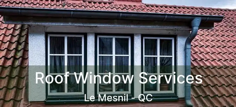  Roof Window Services Le Mesnil - QC