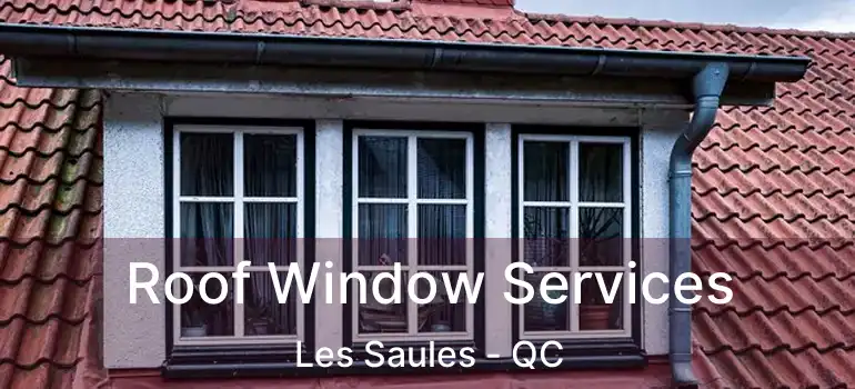  Roof Window Services Les Saules - QC