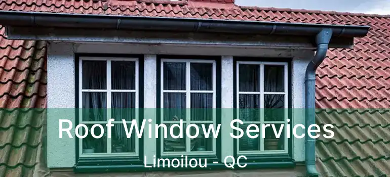  Roof Window Services Limoilou - QC