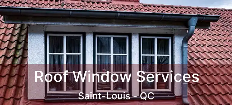  Roof Window Services Saint-Louis - QC