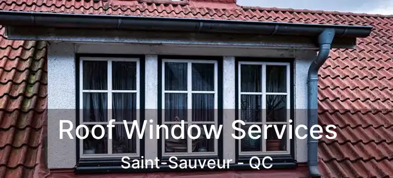  Roof Window Services Saint-Sauveur - QC