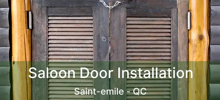  Saloon Door Installation Saint-emile - QC