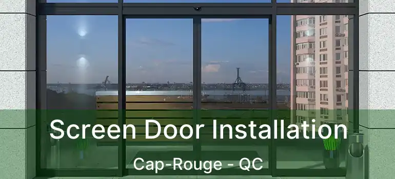  Screen Door Installation Cap-Rouge - QC