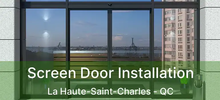  Screen Door Installation La Haute-Saint-Charles - QC