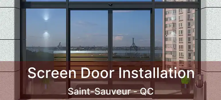 Screen Door Installation Saint-Sauveur - QC