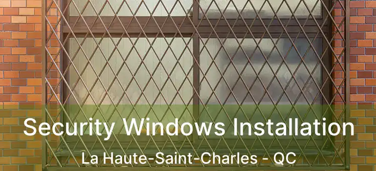  Security Windows Installation La Haute-Saint-Charles - QC