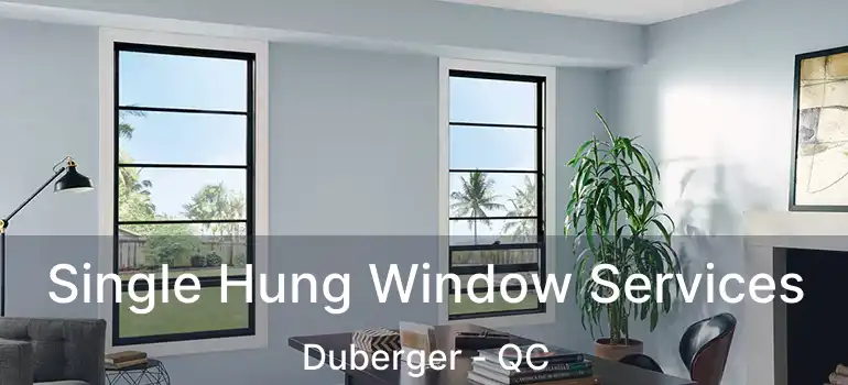  Single Hung Window Services Duberger - QC