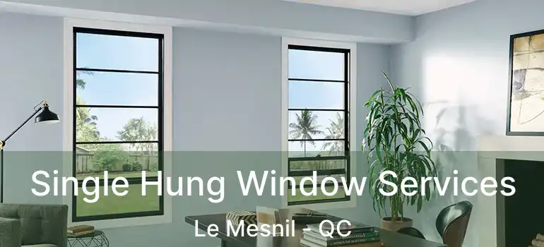  Single Hung Window Services Le Mesnil - QC