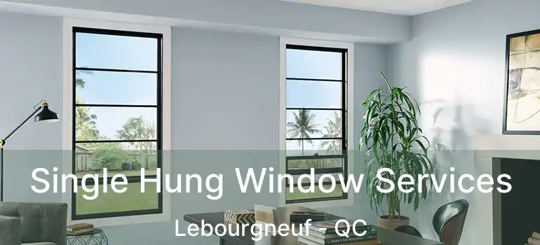  Single Hung Window Services Lebourgneuf - QC
