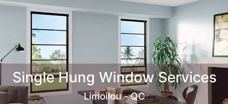 Single Hung Window Services Limoilou - QC