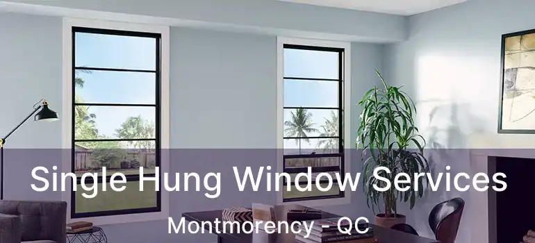  Single Hung Window Services Montmorency - QC