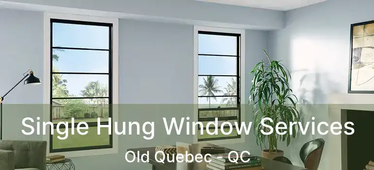  Single Hung Window Services Old Quebec - QC