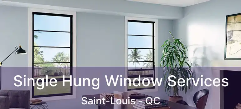  Single Hung Window Services Saint-Louis - QC