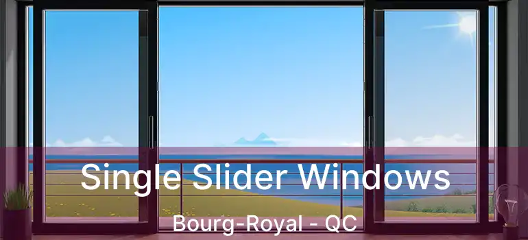  Single Slider Windows Bourg-Royal - QC