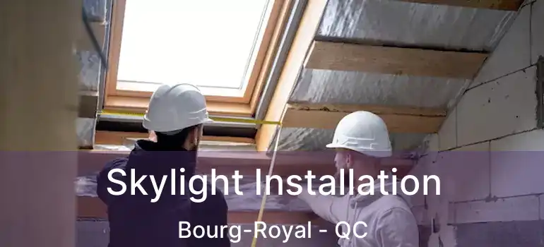  Skylight Installation Bourg-Royal - QC