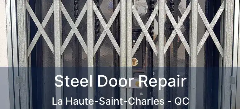  Steel Door Repair La Haute-Saint-Charles - QC