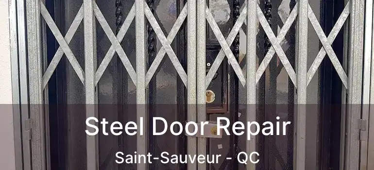  Steel Door Repair Saint-Sauveur - QC