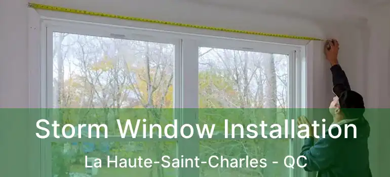  Storm Window Installation La Haute-Saint-Charles - QC