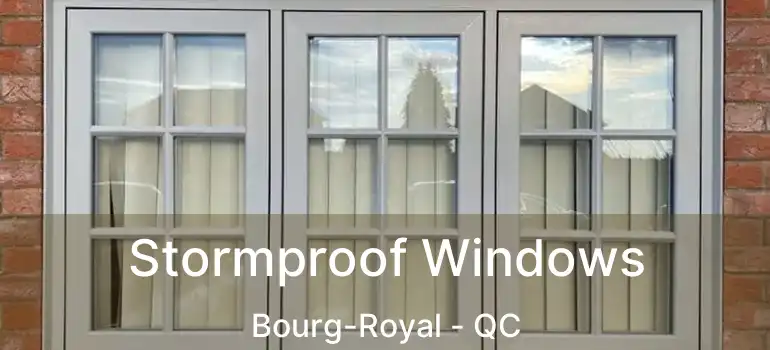  Stormproof Windows Bourg-Royal - QC