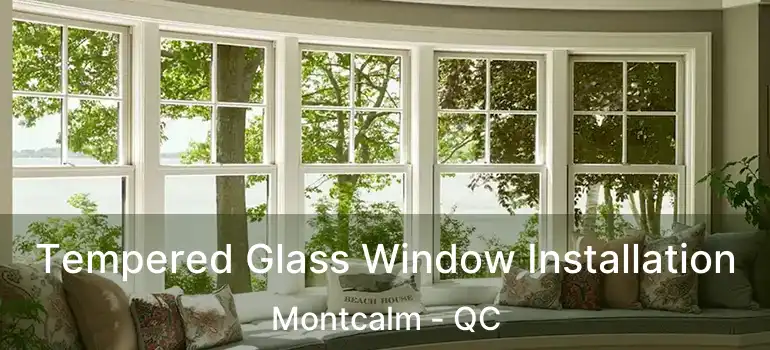  Tempered Glass Window Installation Montcalm - QC
