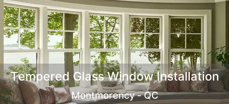  Tempered Glass Window Installation Montmorency - QC