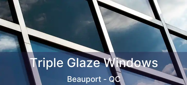  Triple Glaze Windows Beauport - QC
