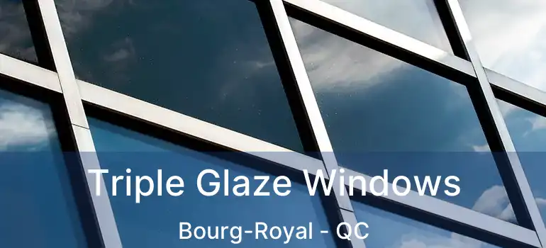  Triple Glaze Windows Bourg-Royal - QC