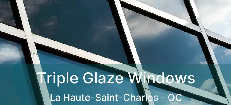  Triple Glaze Windows La Haute-Saint-Charles - QC