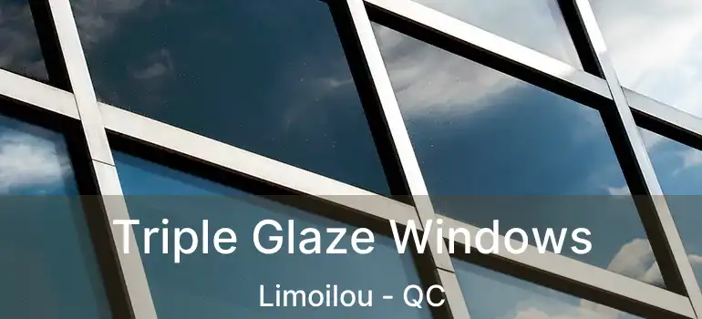  Triple Glaze Windows Limoilou - QC