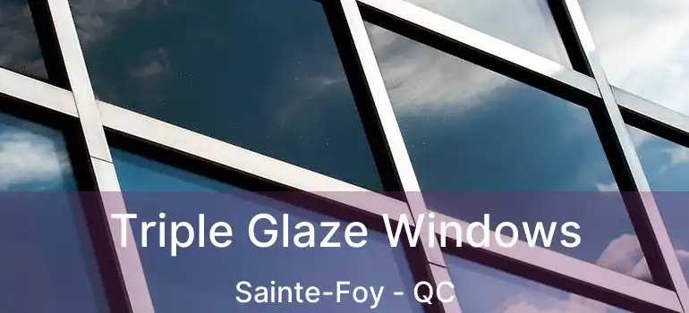  Triple Glaze Windows Sainte-Foy - QC