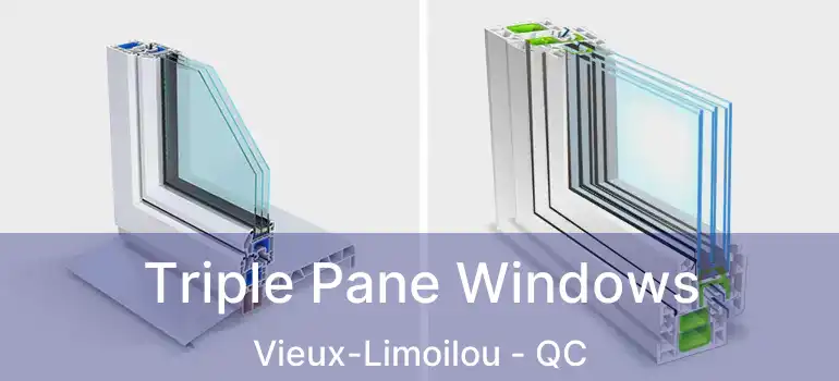  Triple Pane Windows Vieux-Limoilou - QC