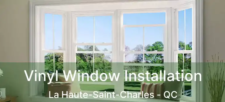  Vinyl Window Installation La Haute-Saint-Charles - QC