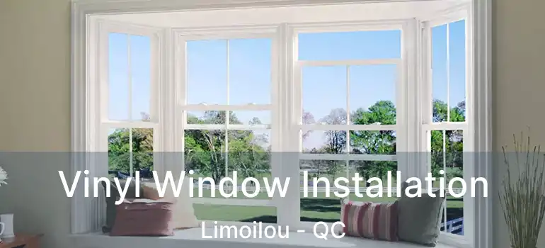  Vinyl Window Installation Limoilou - QC