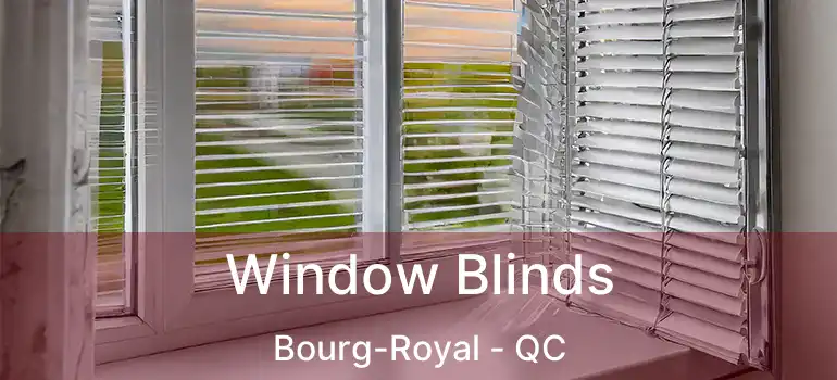  Window Blinds Bourg-Royal - QC