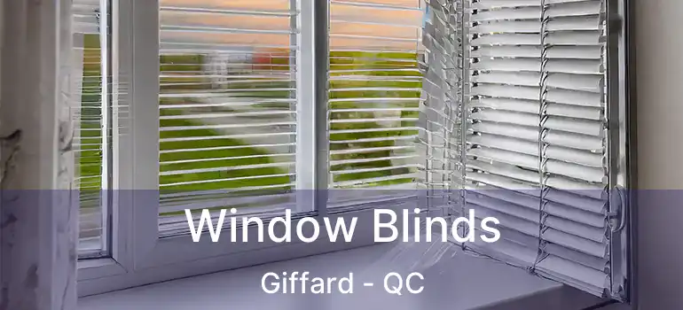  Window Blinds Giffard - QC