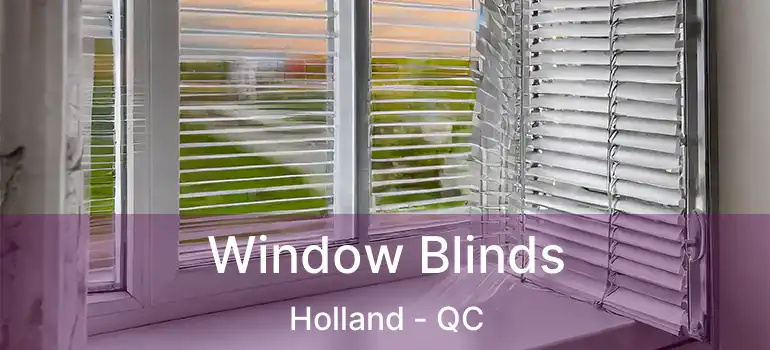  Window Blinds Holland - QC
