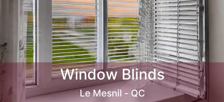  Window Blinds Le Mesnil - QC