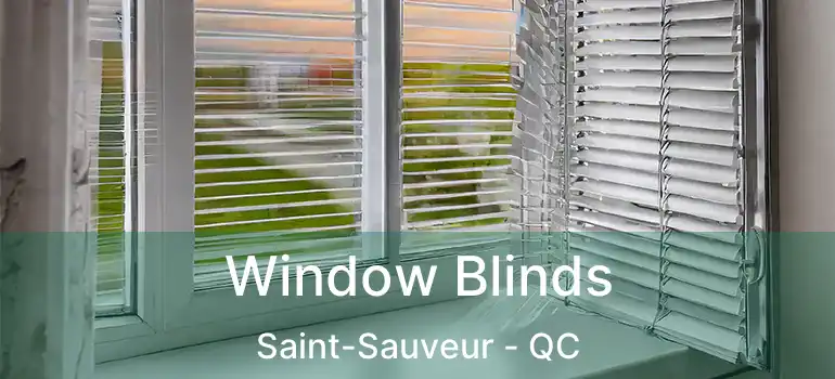  Window Blinds Saint-Sauveur - QC