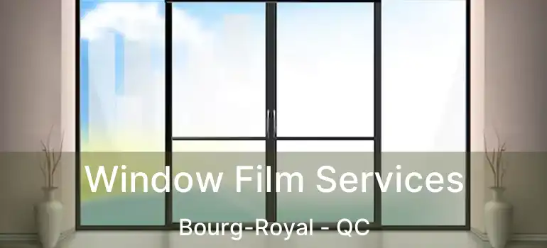  Window Film Services Bourg-Royal - QC