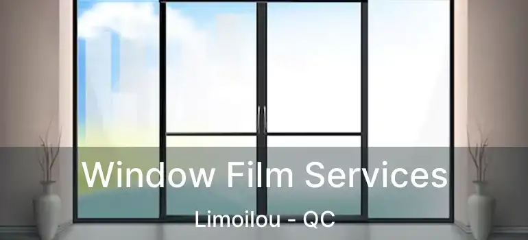  Window Film Services Limoilou - QC