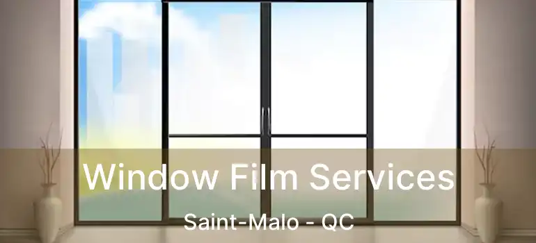  Window Film Services Saint-Malo - QC