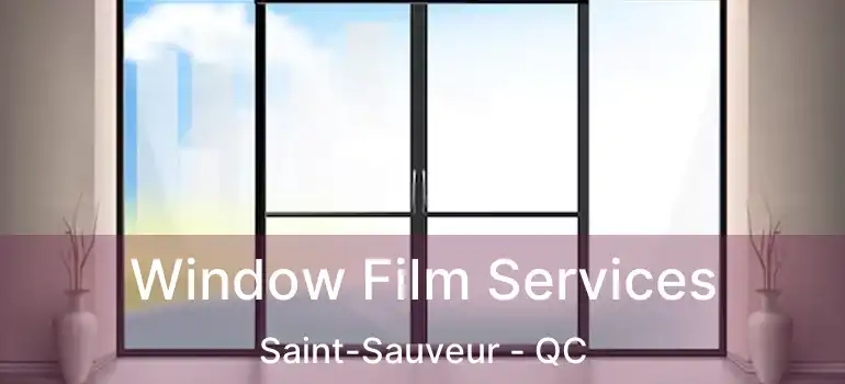  Window Film Services Saint-Sauveur - QC