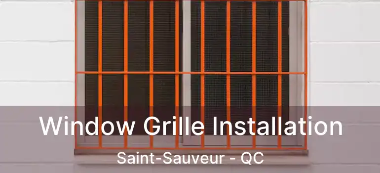  Window Grille Installation Saint-Sauveur - QC